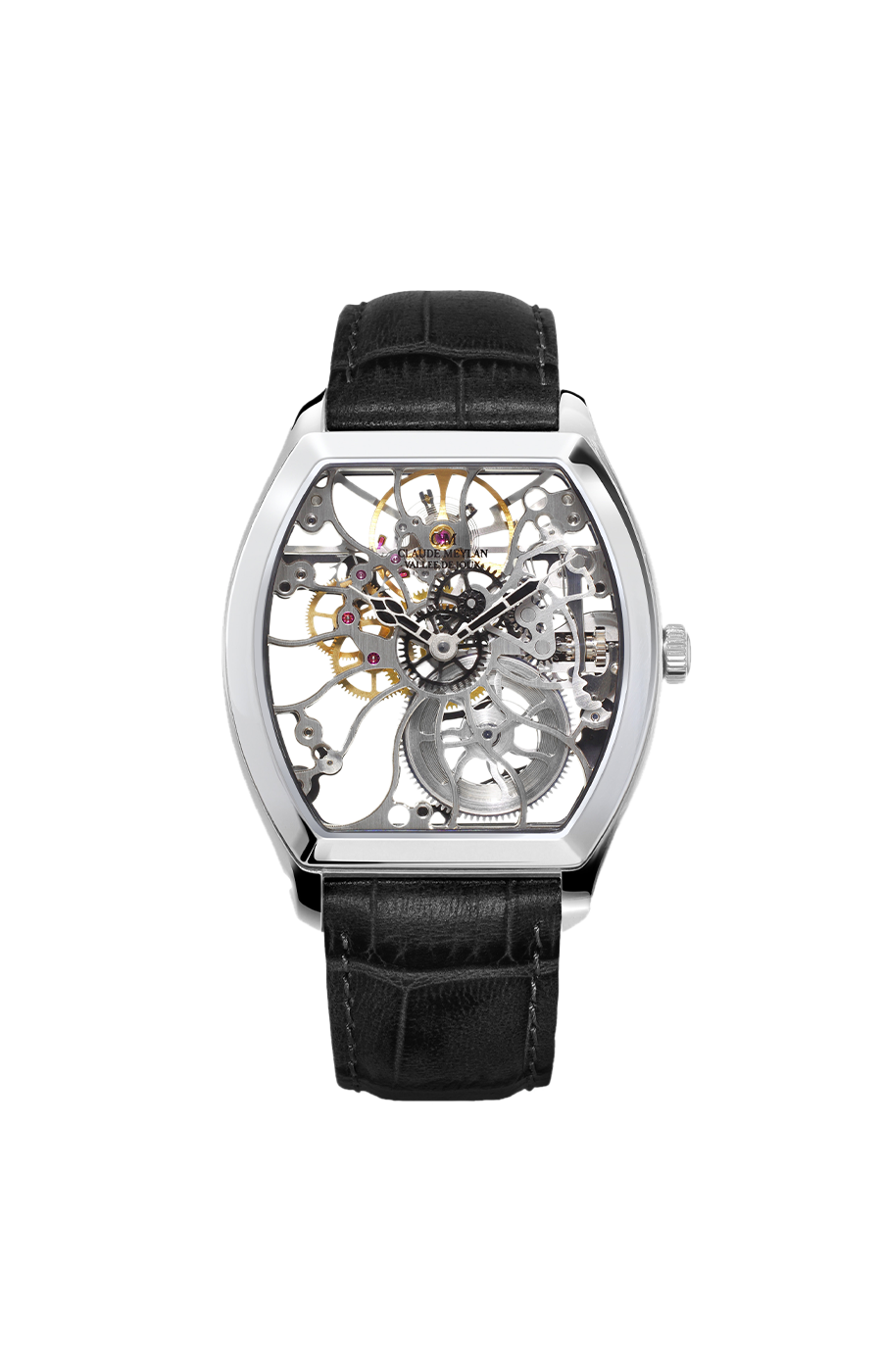 Claude Meylan Tortue 6047