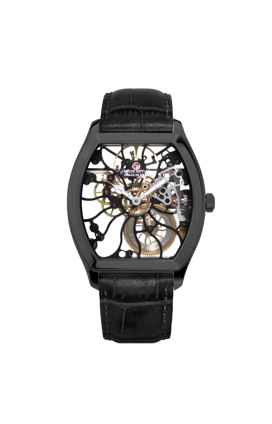 Claude Meylan Tortue rainbow 6047-nn