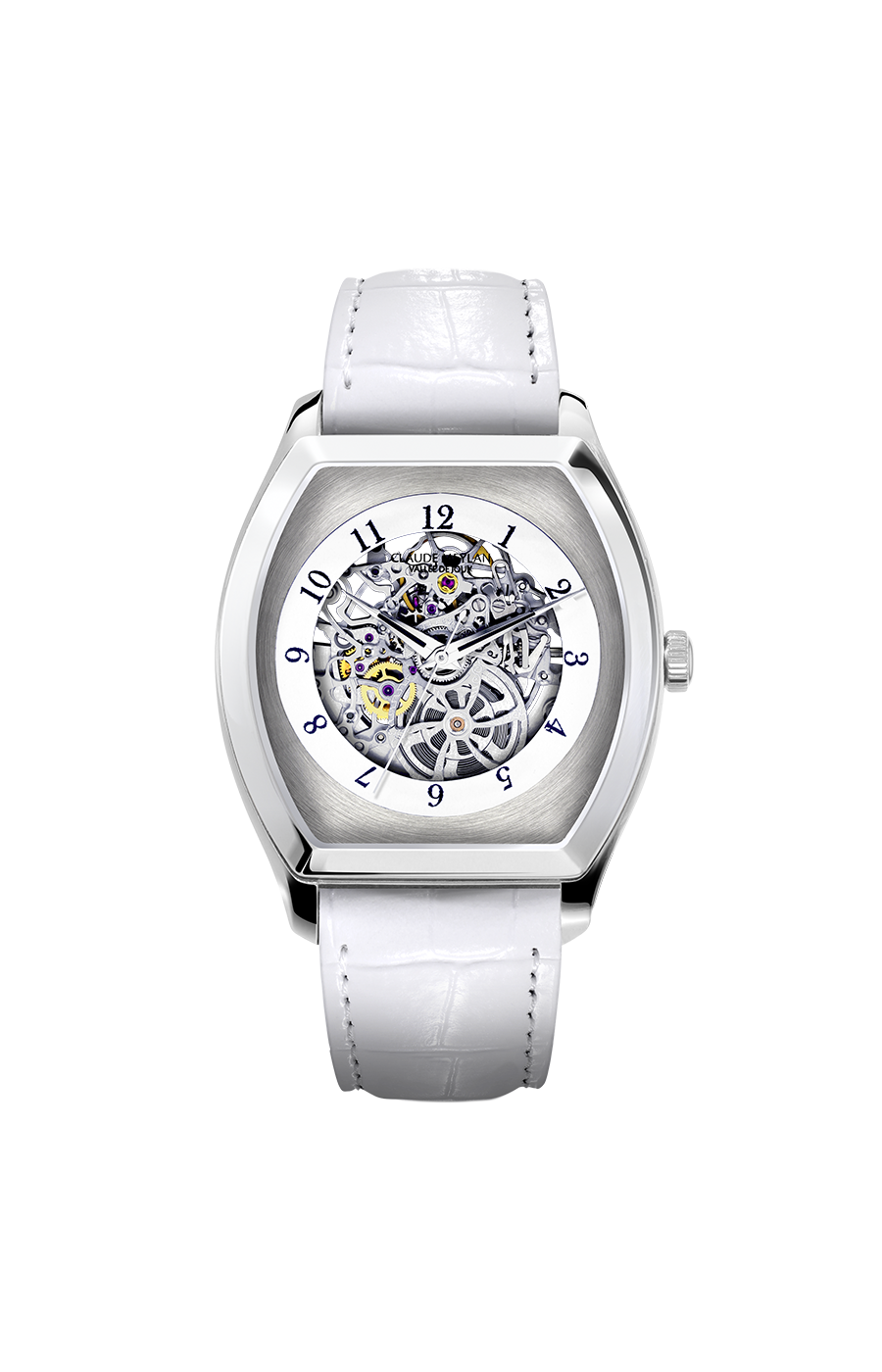 Claude Meylan Tortue 6091-a